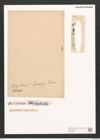 Opephora schwartzii (Grun.) (de-Toni-Nr.: Genus 64, Species 2576) Zeichnungen Sammlung Grunow (NHMW-BOT-W0373455)